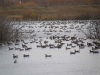 pa110100.jpg