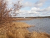 shoreline-to-houseboats.jpg