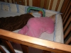 asleep.jpg