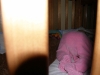 asleep2.jpg