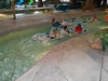 DSCN0726.jpg