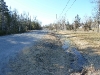p1010015.jpg