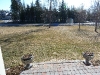 p1010021.jpg