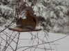 DSCN0144.jpg