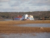 shoreline-view.jpg