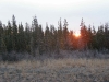 sunrise.jpg